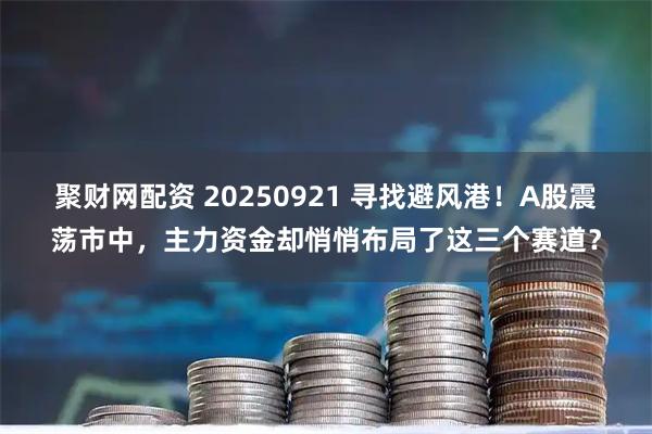聚财网配资 20250921 寻找避风港！A股震荡市中，主力资金却悄悄布局了这三个赛道？