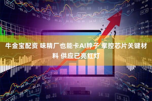 牛金宝配资 味精厂也能卡AI脖子 掌控芯片关键材料 供应已亮红灯
