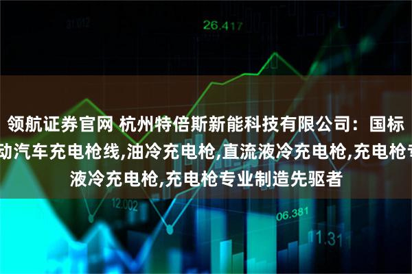 领航证券官网 杭州特倍斯新能科技有限公司：国标液冷充电枪,电动汽车充电枪线,油冷充电枪,直流液冷充电枪,充电枪专业制造先驱者