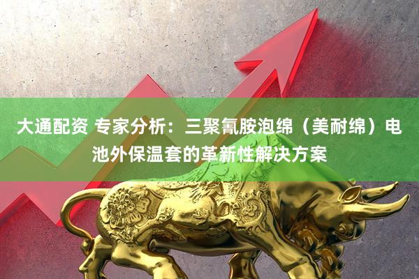 大通配资 专家分析：三聚氰胺泡绵（美耐绵）电池外保温套的革新性解决方案